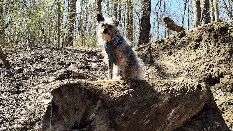 Octagon Shelter - Peninsula, OH