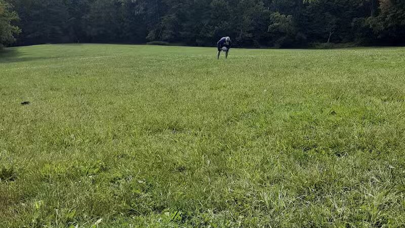 Octagon Shelter - Peninsula, OH