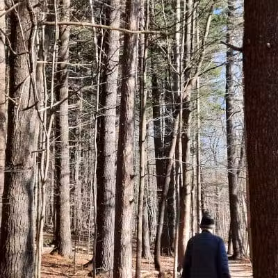 Pine Grove Trail Head - Peninsula, OH