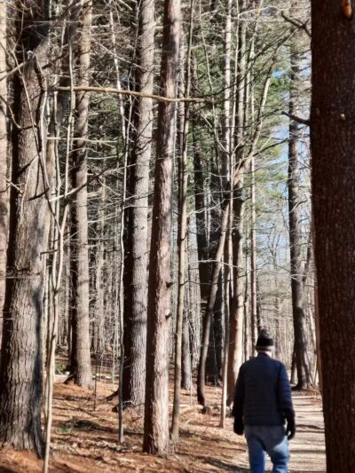 Pine Grove Trail Head - Peninsula, OH