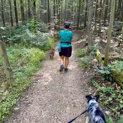 Pine Grove Trail Head - Peninsula, OH