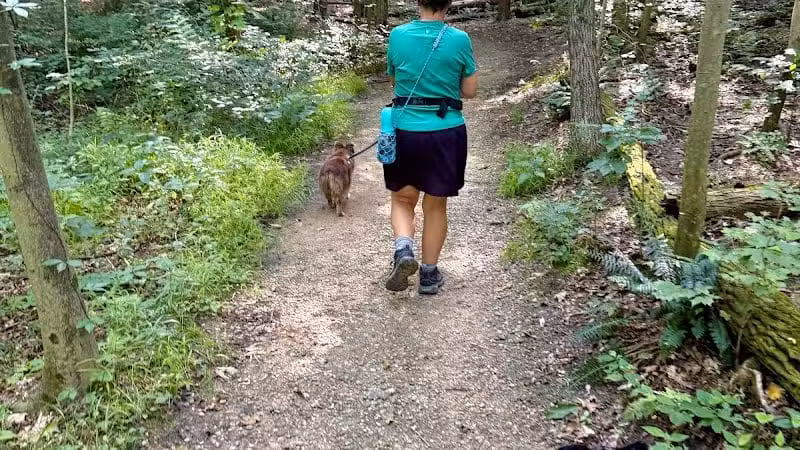 Pine Grove Trail Head - Peninsula, OH