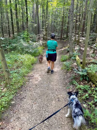 Pine Grove Trail Head - Peninsula, OH