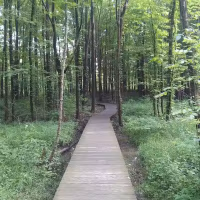 Pine Grove Trail Head - Peninsula, OH