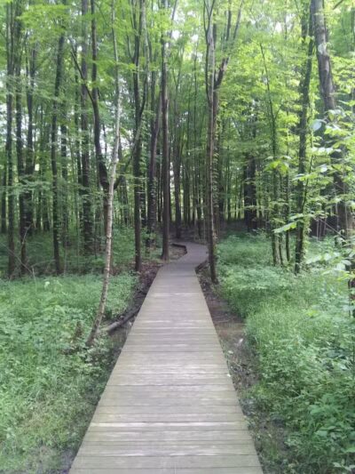 Pine Grove Trail Head - Peninsula, OH