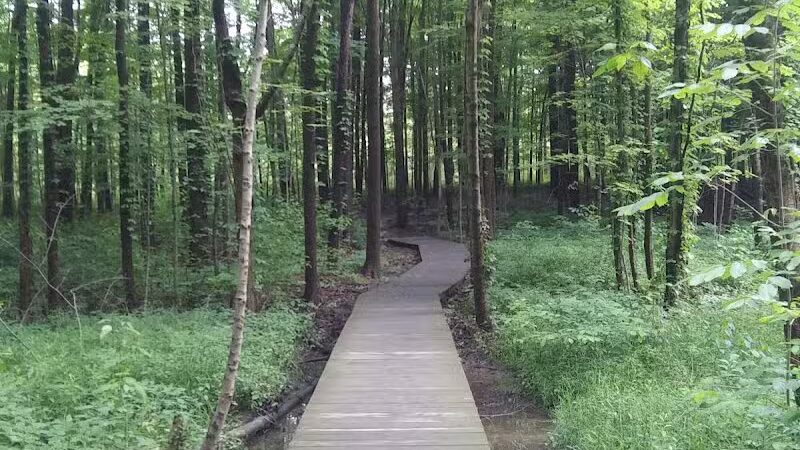 Pine Grove Trail Head - Peninsula, OH