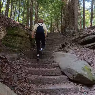 Pine Grove Trail Head - Peninsula, OH