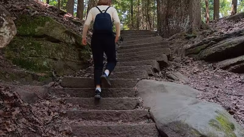 Pine Grove Trail Head - Peninsula, OH