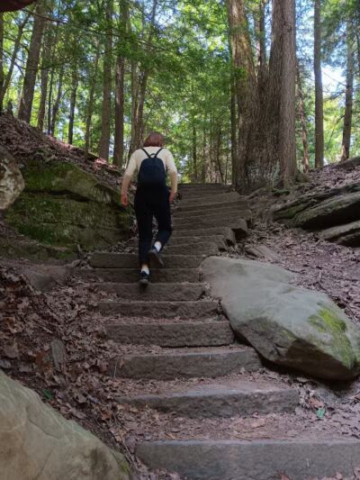 Pine Grove Trail Head - Peninsula, OH