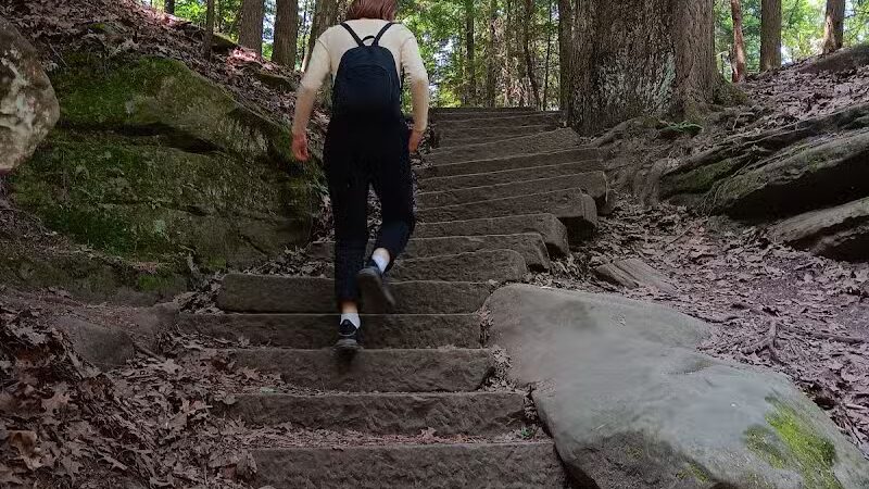 Pine Grove Trail Head - Peninsula, OH