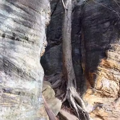 Pine Grove Trail Head - Peninsula, OH