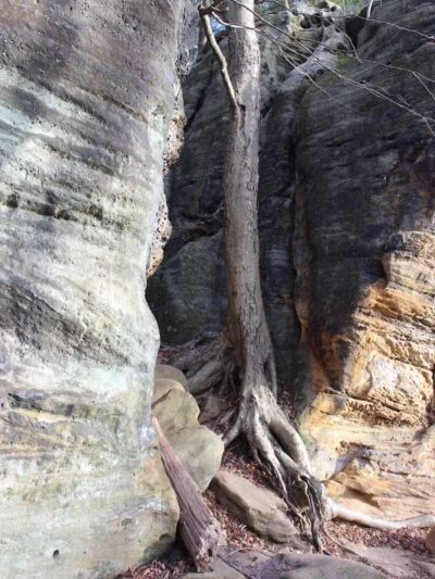 Pine Grove Trail Head - Peninsula, OH