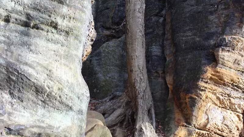 Pine Grove Trail Head - Peninsula, OH