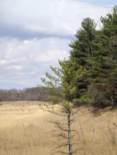 Pine Lane Trailhead_Buckeye Trail - Peninsula, OH