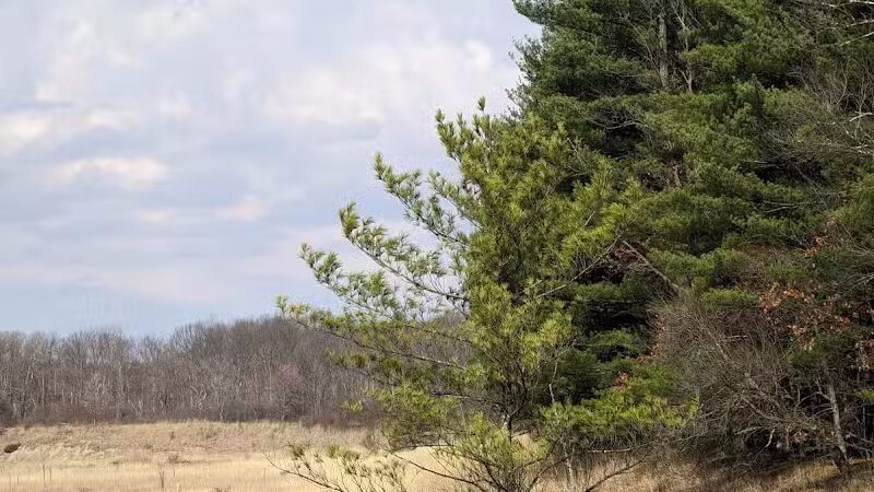 Pine Lane Trailhead_Buckeye Trail - Peninsula, OH