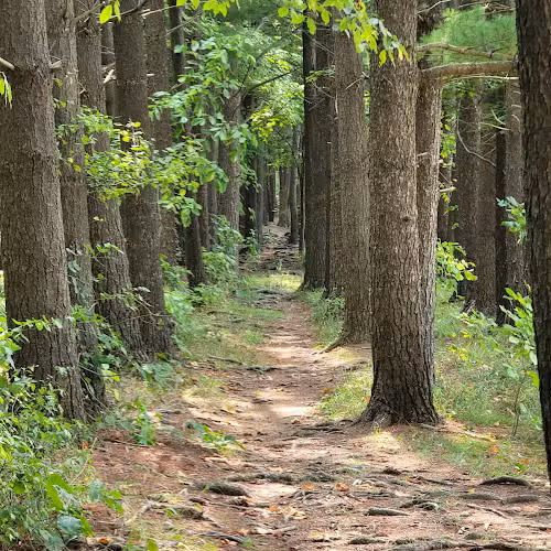 Pine Lane Trailhead_Buckeye Trail - Peninsula, OH