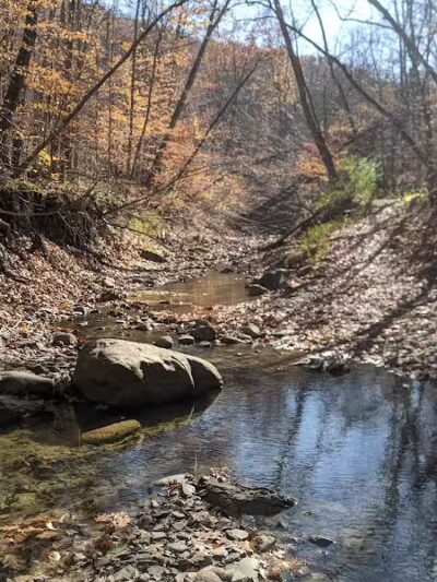 Riding Run Conservation Area - Peninsula, OH