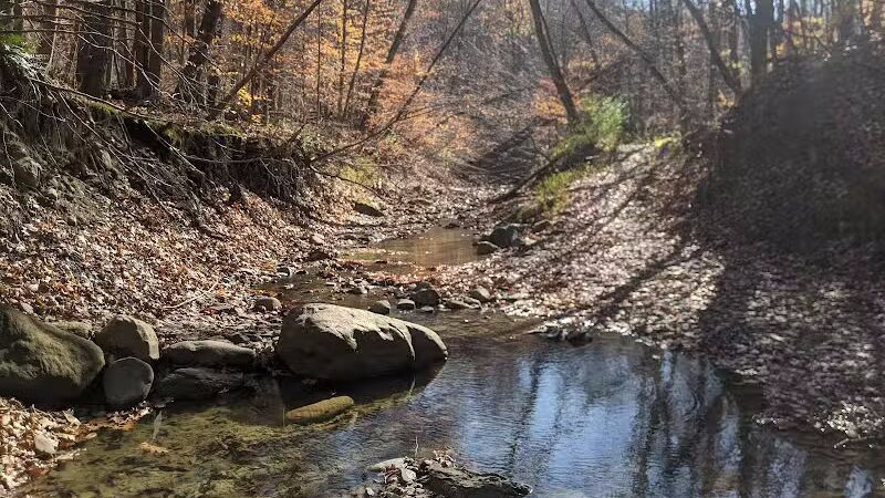 Riding Run Conservation Area - Peninsula, OH