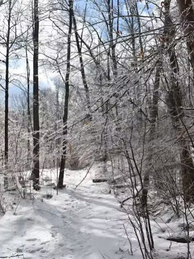 Riding Run Conservation Area - Peninsula, OH