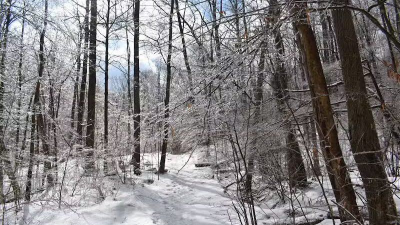 Riding Run Conservation Area - Peninsula, OH