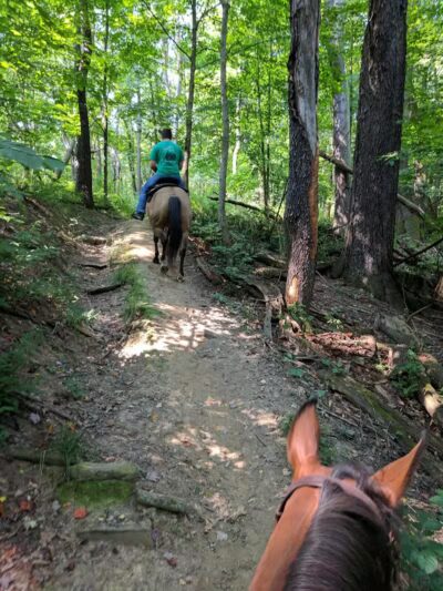 Riding Run Conservation Area - Peninsula, OH