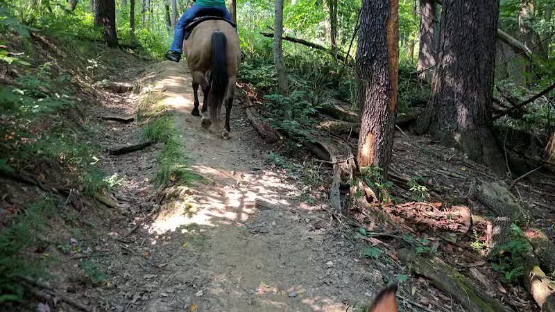 Riding Run Conservation Area - Peninsula, OH