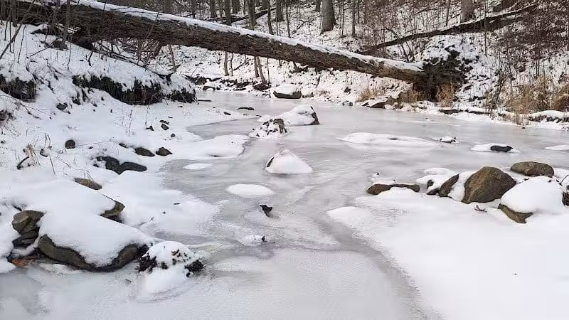 Riding Run Conservation Area - Peninsula, OH