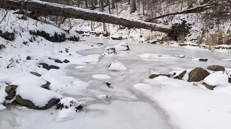 Riding Run Conservation Area - Peninsula, OH