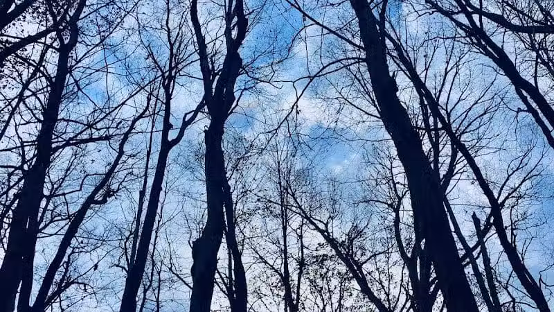 Riding Run Conservation Area - Peninsula, OH