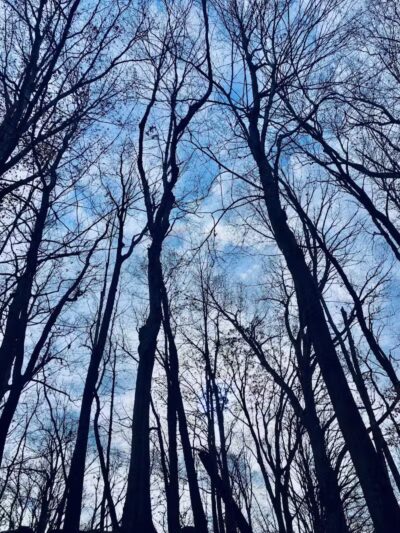 Riding Run Conservation Area - Peninsula, OH