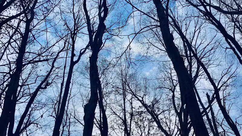 Riding Run Conservation Area - Peninsula, OH