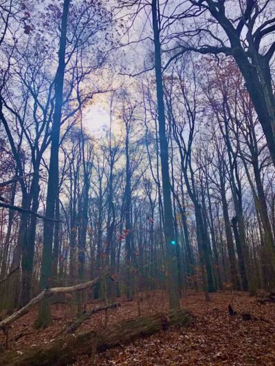 Riding Run Conservation Area - Peninsula, OH