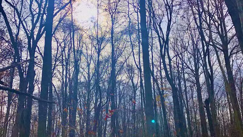 Riding Run Conservation Area - Peninsula, OH