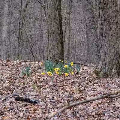 Stanford Trailhead - Peninsula, OH