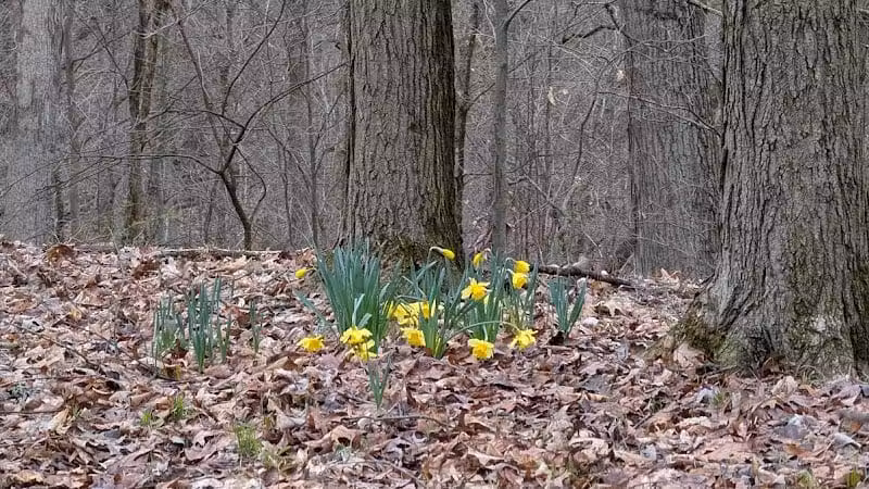 Stanford Trailhead - Peninsula, OH