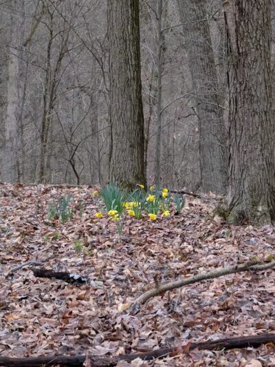 Stanford Trailhead - Peninsula, OH