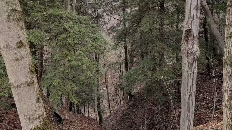 Stanford Trailhead - Peninsula, OH