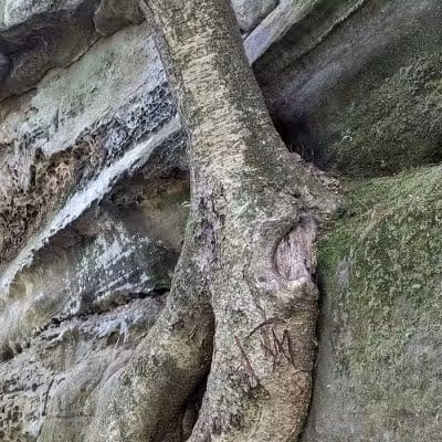 The Ledges Shelter - Peninsula, OH