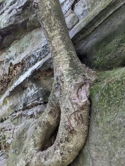 The Ledges Shelter - Peninsula, OH