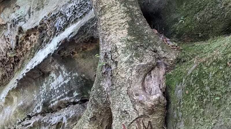 The Ledges Shelter - Peninsula, OH