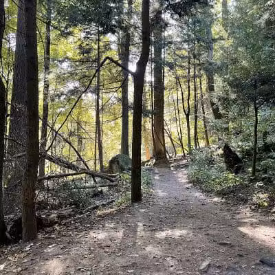 The Ledges Shelter - Peninsula, OH