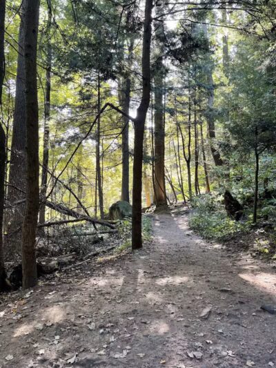 The Ledges Shelter - Peninsula, OH
