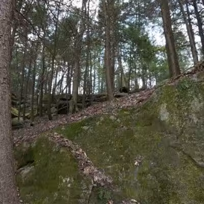 The Ledges Shelter - Peninsula, OH