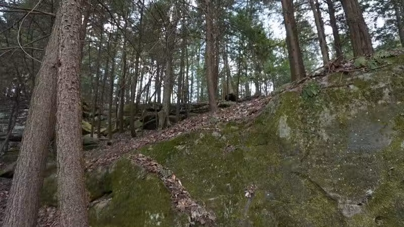 The Ledges Shelter - Peninsula, OH