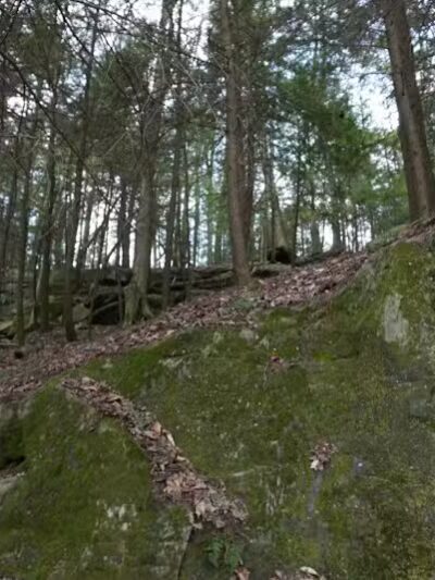 The Ledges Shelter - Peninsula, OH
