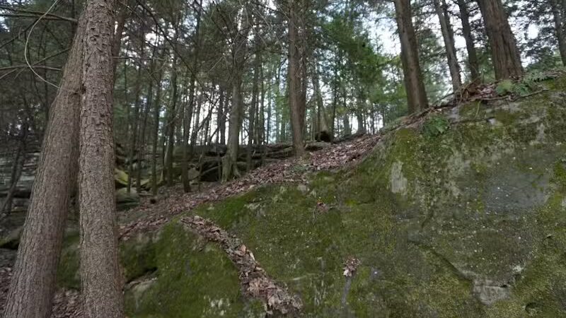 The Ledges Shelter - Peninsula, OH