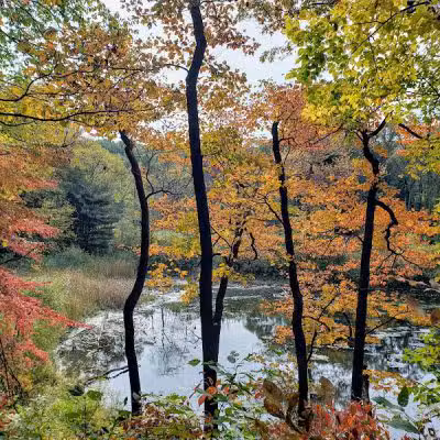 Virginia Kendall Area - Peninsula, OH
