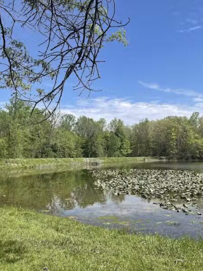 Virginia Kendall Area - Peninsula, OH