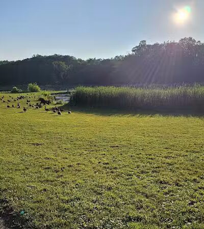 Virginia Kendall Area - Peninsula, OH
