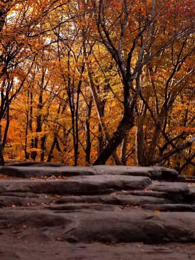 Virginia Kendall Area - Peninsula, OH